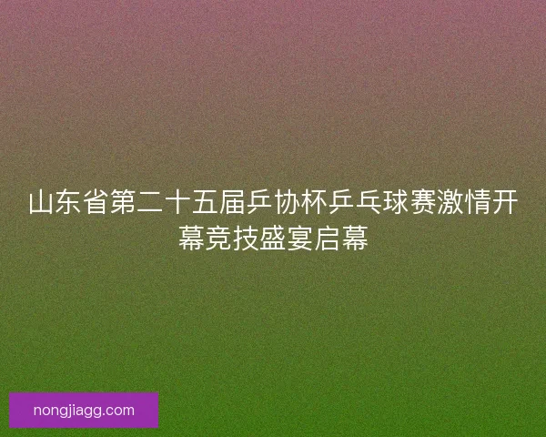 山东省第二十五届乒协杯乒乓球赛激情开幕竞技盛宴启幕