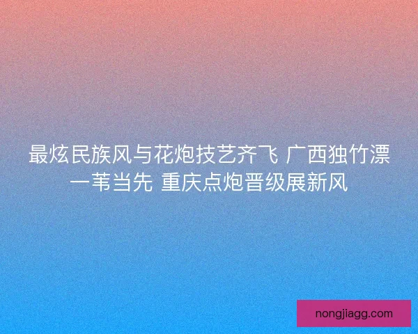 最炫民族风与花炮技艺齐飞 广西独竹漂一苇当先 重庆点炮晋级展新风